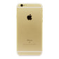 Apple iPhone 6S Plus